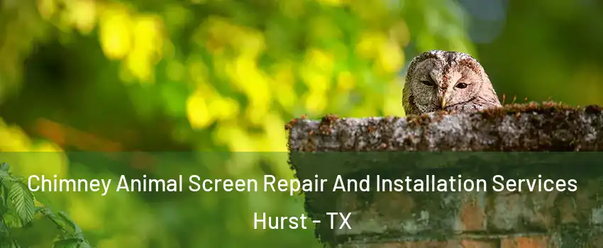  Chimney Animal Screen Repair And Installation Services Hurst - TX