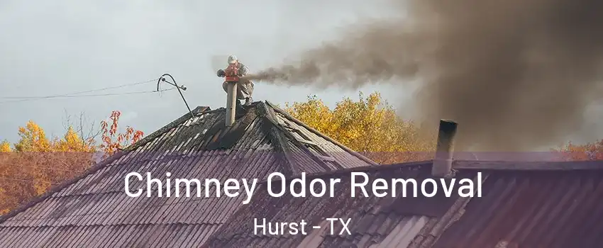  Chimney Odor Removal Hurst - TX