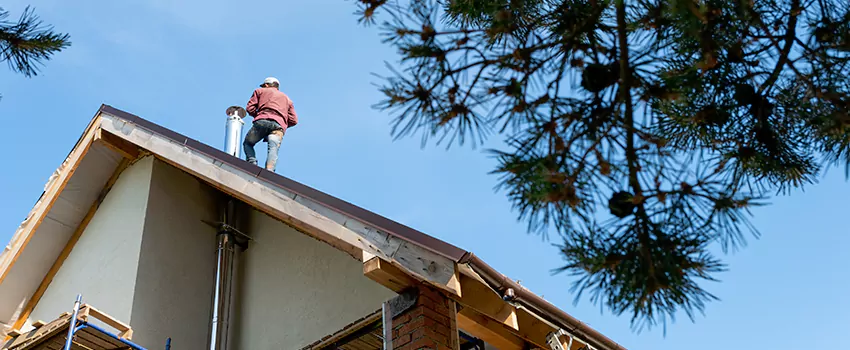Birds Removal Contractors from Chimney in Hurst, TX