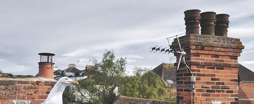 Chimney Cleaning And Restoration in Hurst, Texas