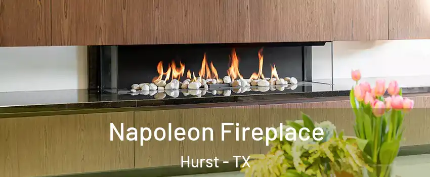  Napoleon Fireplace Hurst - TX
