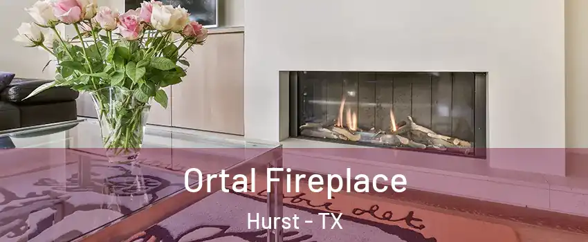  Ortal Fireplace Hurst - TX